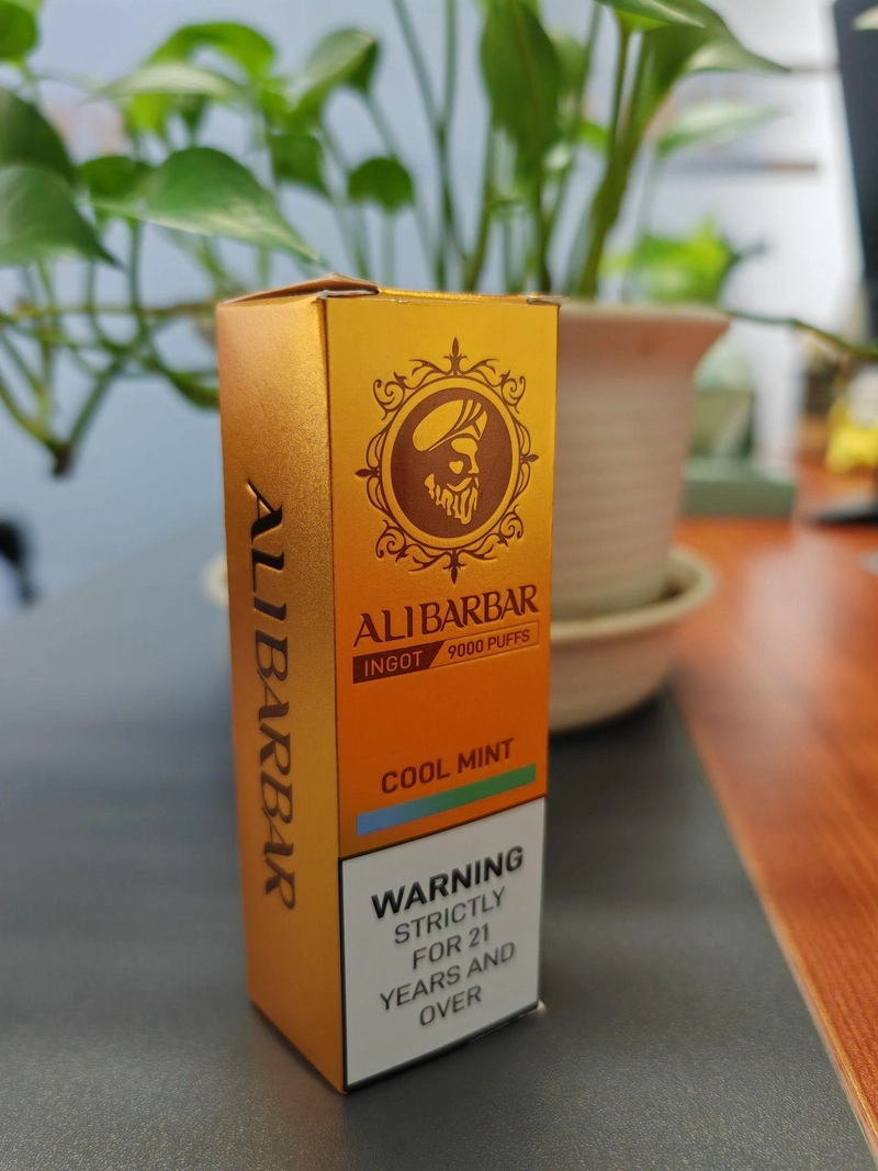 Premium Disposable Vapes at OZVAPEONES