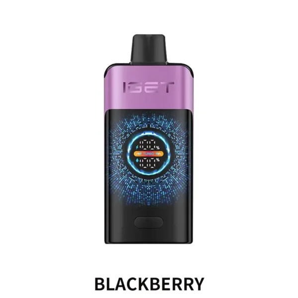 IGET ONE 12000 Puffs - Chuppa Chupps Blackberry