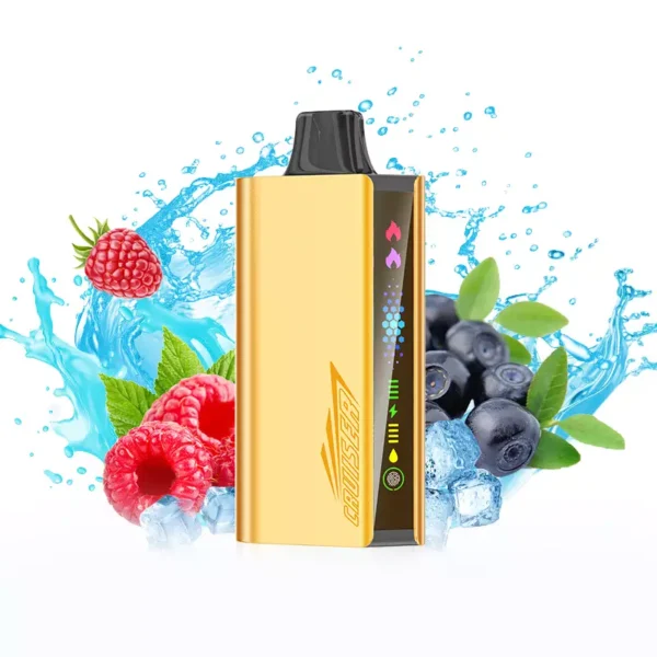 JNR Cruiser 12000 Puffs - Blueberry Raspberry Ice