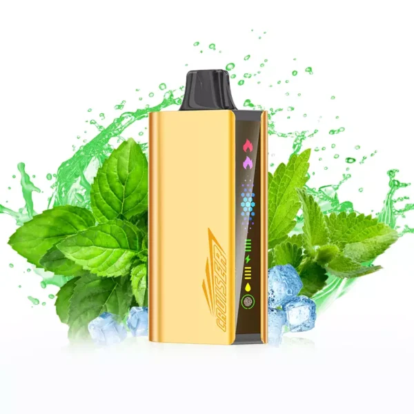JNR Cruiser 12000 Puffs - Cool Mint