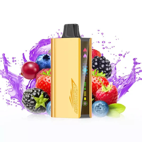 JNR Cruiser 12000 Puffs - Mixed Berry