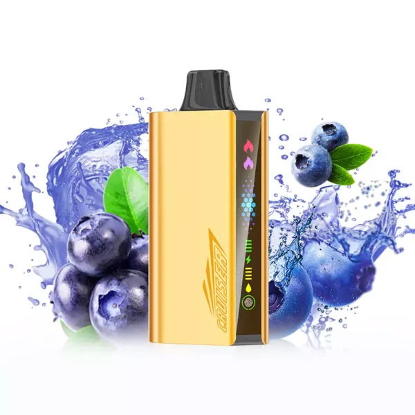 JNR Cruiser 12000 Puffs - Blueberry Blast