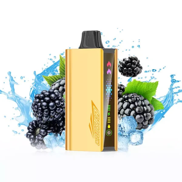 JNR Cruiser 12000 Puffs - Blackberry Ice