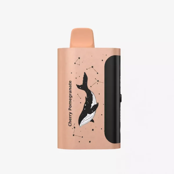 PICCO STAR 40000 Puffs - Cherry Pomegranate