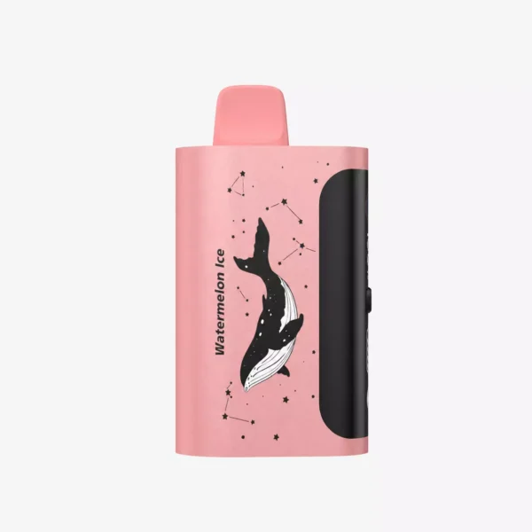 PICCO STAR 40000 Puffs - Watermelon Ice