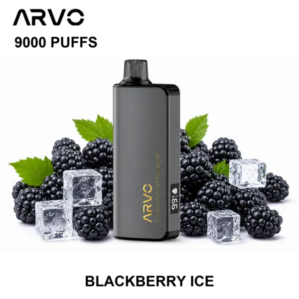 ARVO 9000 PUFFS - Blackberry Ice