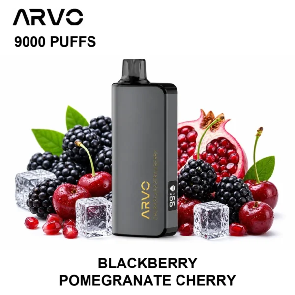ARVO 9000 PUFFS - Blackberry Pomegranate Cherry